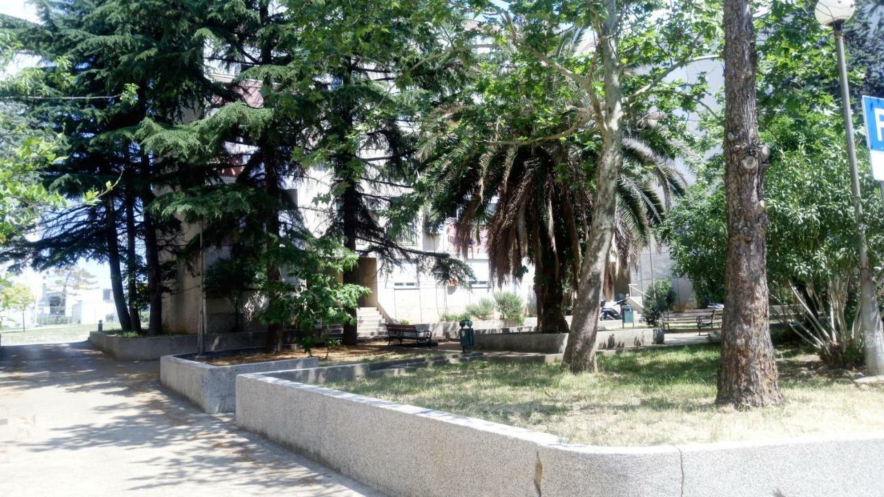 Apartments Zara- Zd Εξωτερικό φωτογραφία